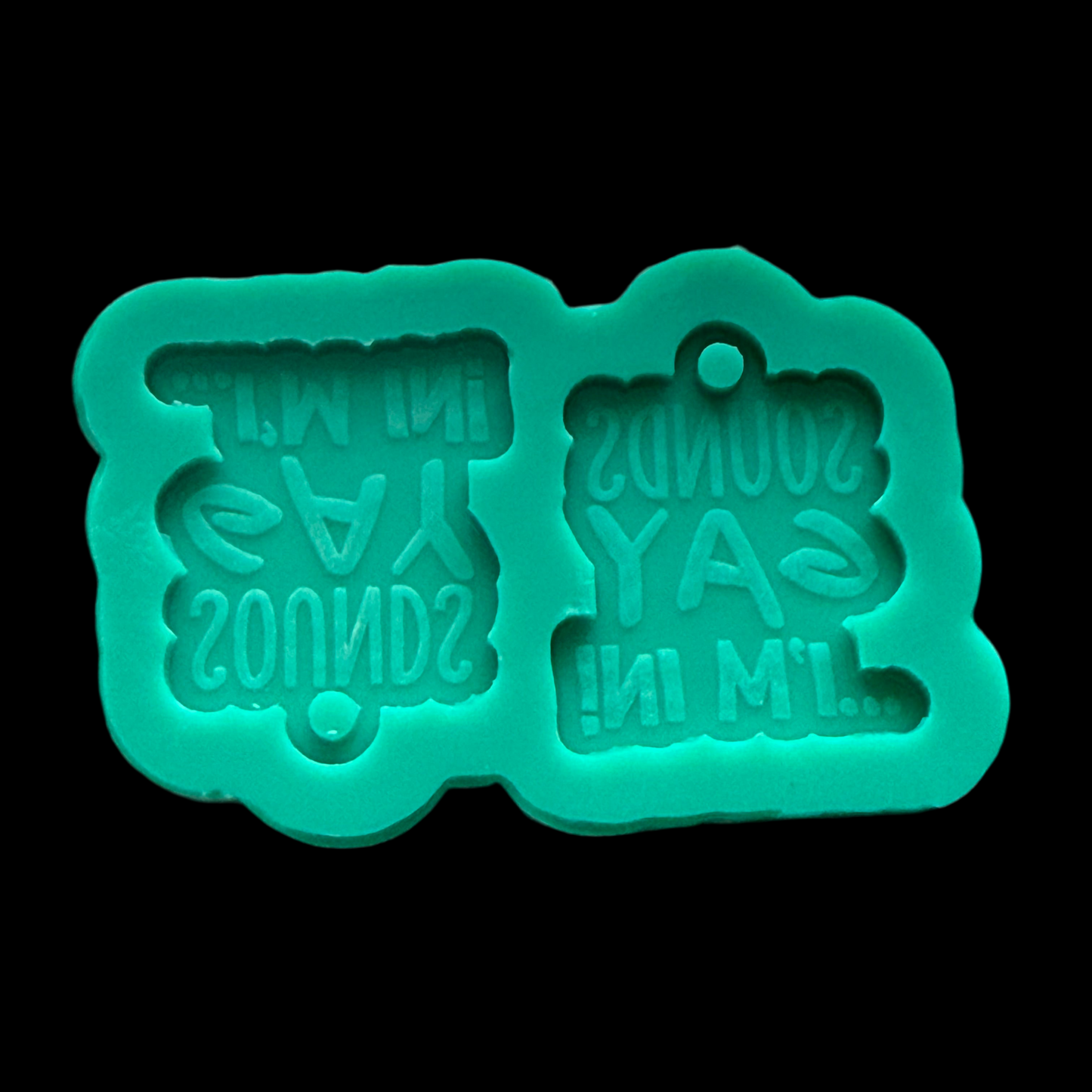 Sounds Gay Earrings Mold