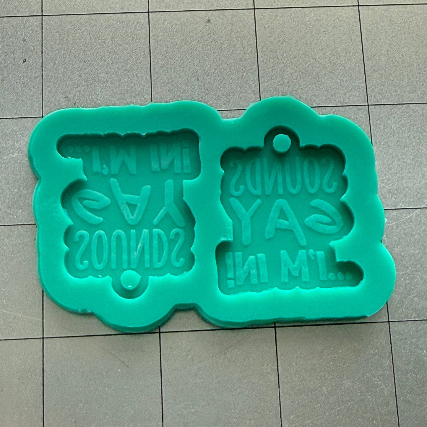 Sounds Gay Earrings Mold