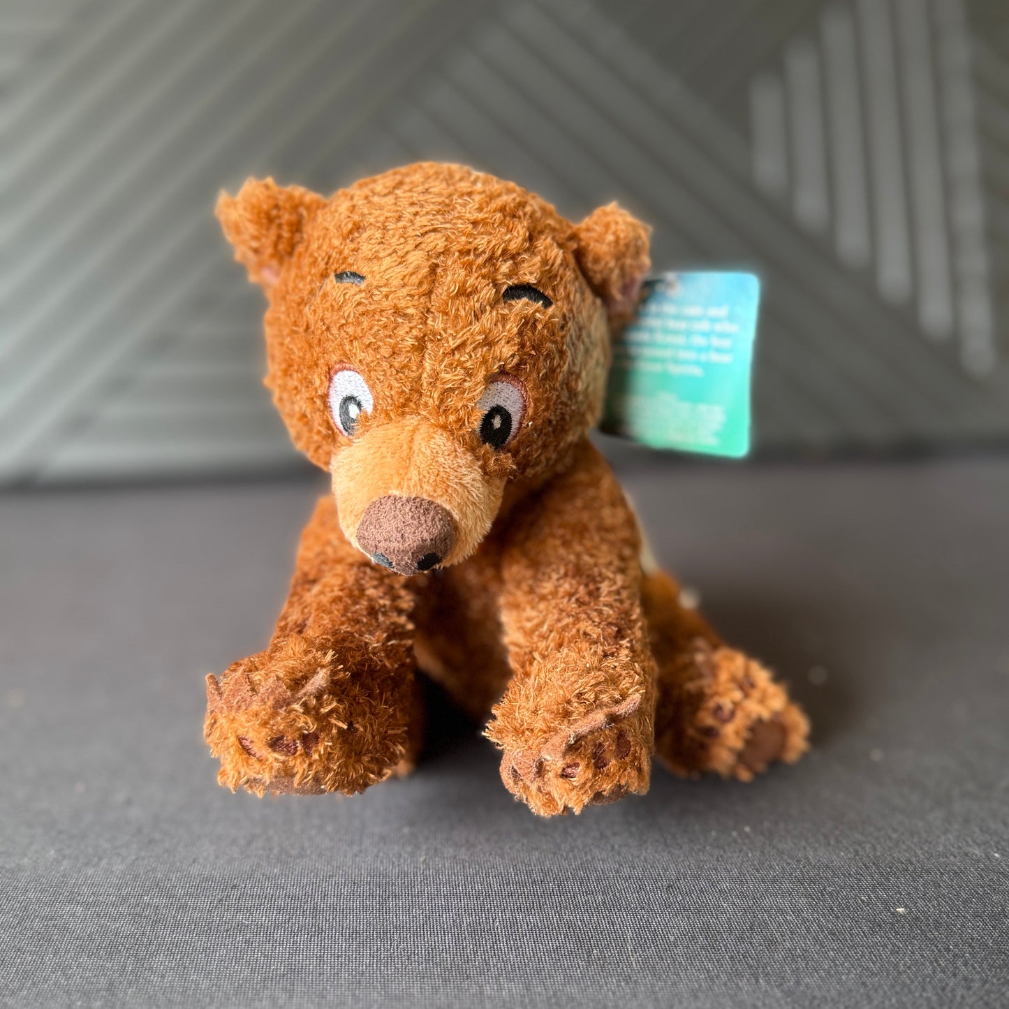 Stuffed Bear