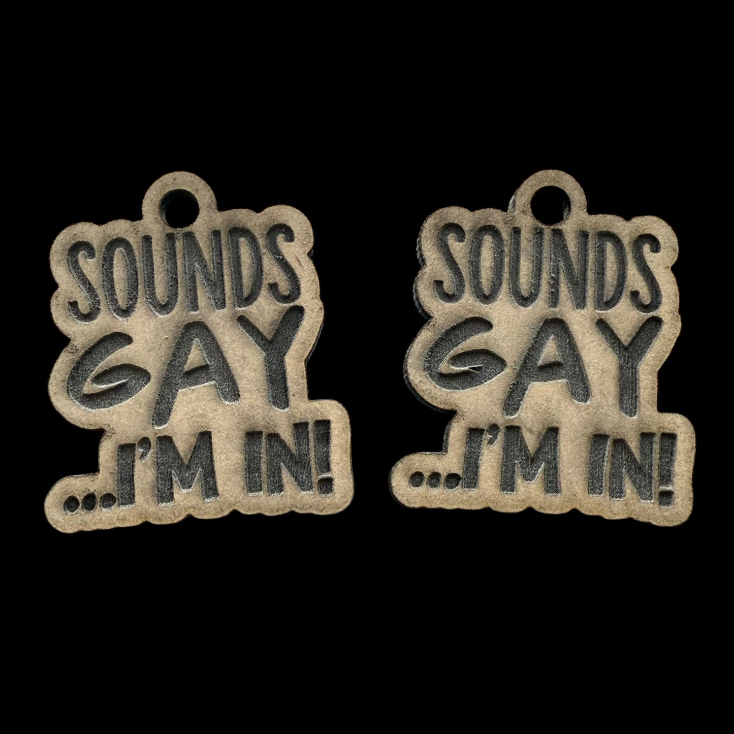 Sounds Gay Earrings Mold