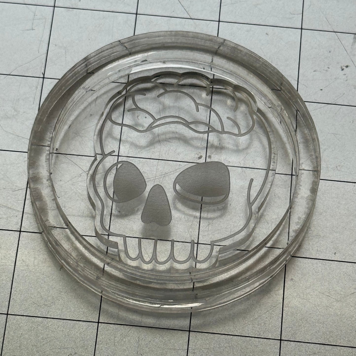 Used Skull Acrylic Blank for Mold Making with Attached Housing