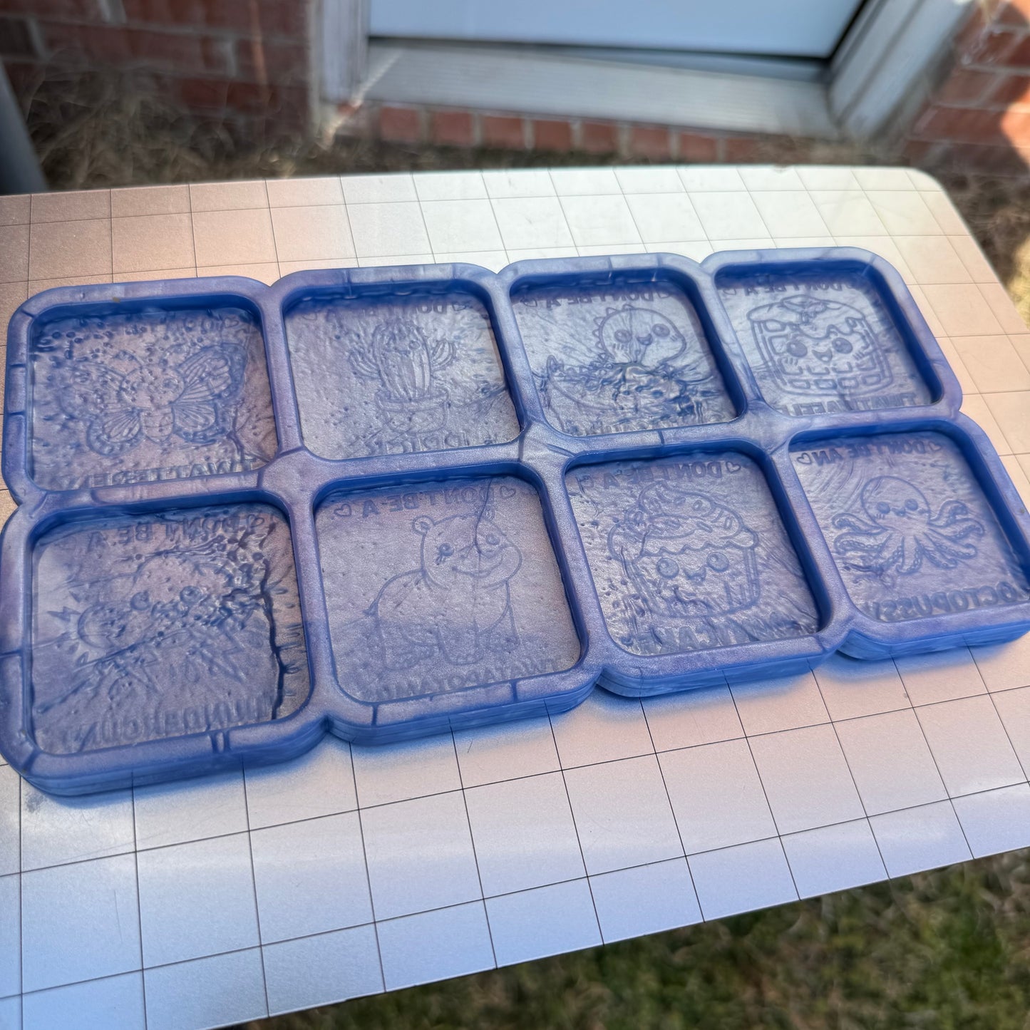 Don’t Be A… Palette Mold