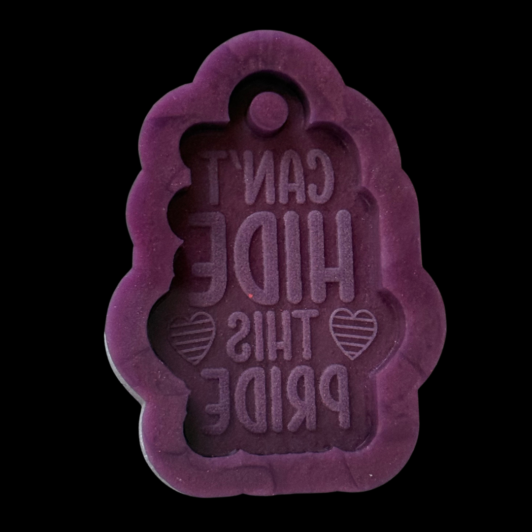 Can’t Hide This Pride Keychain Mold