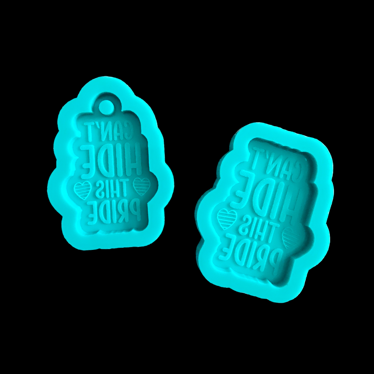 Can’t Hide This Pride Keychain Mold